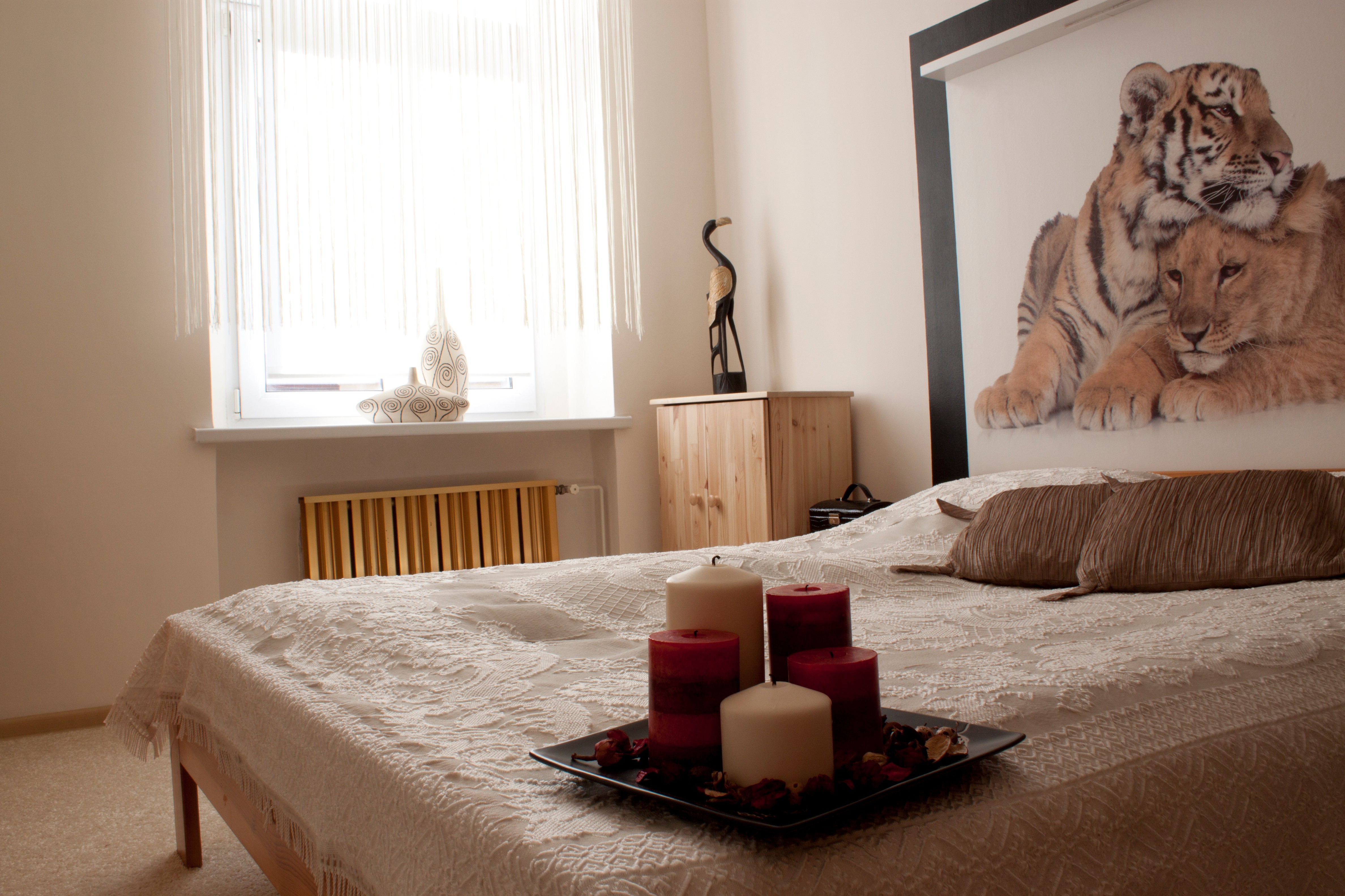 Ciekawostki na rynku rolet: czym są fotorolety?